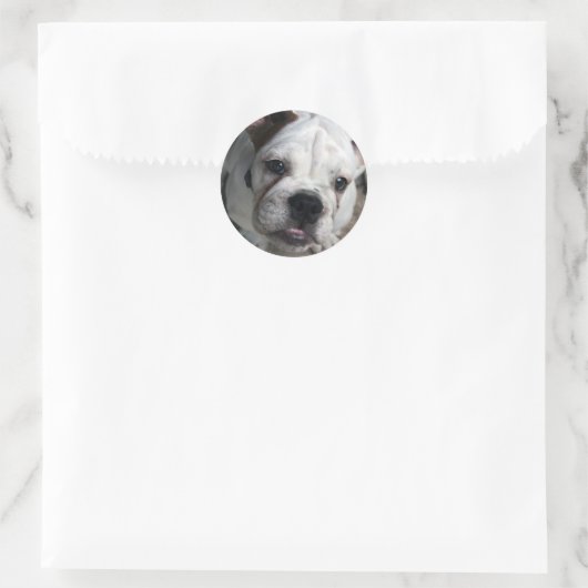 Bulldog-Sticker Runder Aufkleber (Tasche)