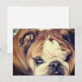 Bulldog Stink Auge Postkarte (Vorne/Hinten)