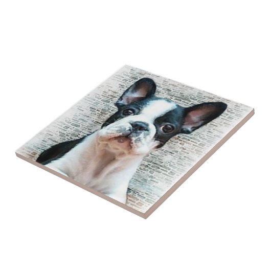 Bulldog-Tal Fliese (Seite)