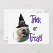 Bulldog Trick Postkarte (Vorne/Hinten)