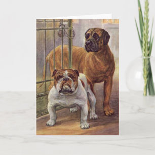 Bulldog und Mastiff Vintage Grußkarte Karte