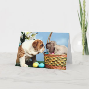 Bulldog und Osterhase Feiertagskarte