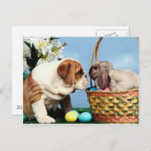 Bulldog und Rabbit Postkarte (Vorne/Hinten)