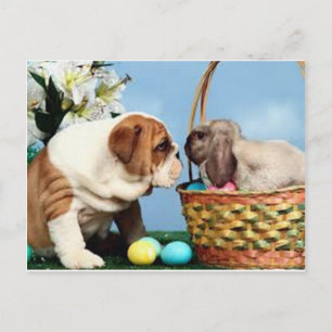 Bulldog und Rabbit Postkarte