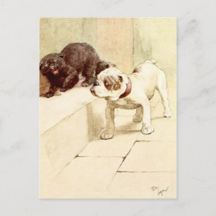 Bulldog und wütende schwarze Katze Postkarte