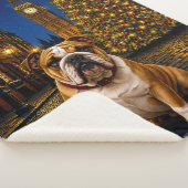 Bulldog Urlaub Sherpadecke (3/4)
