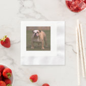 Bulldog voll 2.png serviette (Beispiel)