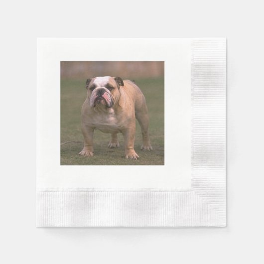 Bulldog voll 2.png serviette (Vorderseite)