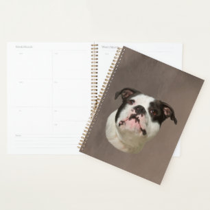 Bulldog Water Color Art Painting Planer