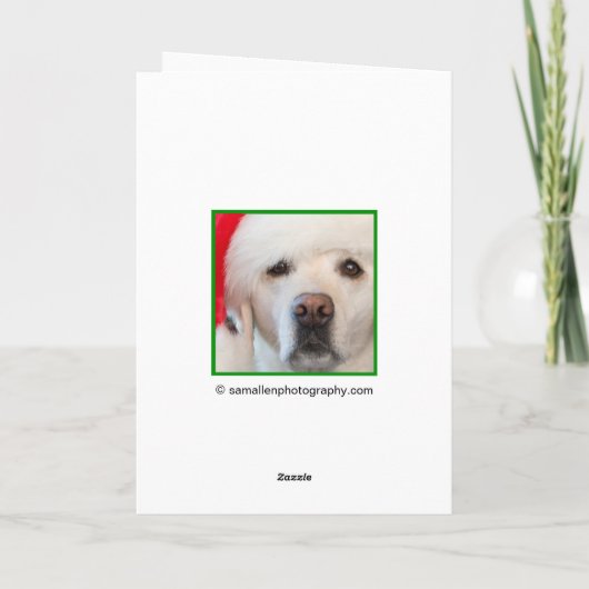 Bulldog Weihnachtskarten Feiertagskarte (Rückseite)