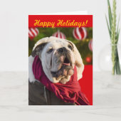 Bulldog Weihnachtskarten Feiertagskarte (Vorderseite)