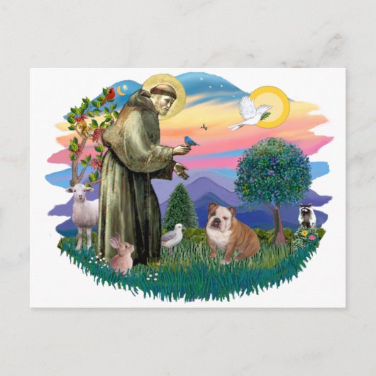 Bulldog (weiß-braun) postkarte (Vorderseite)