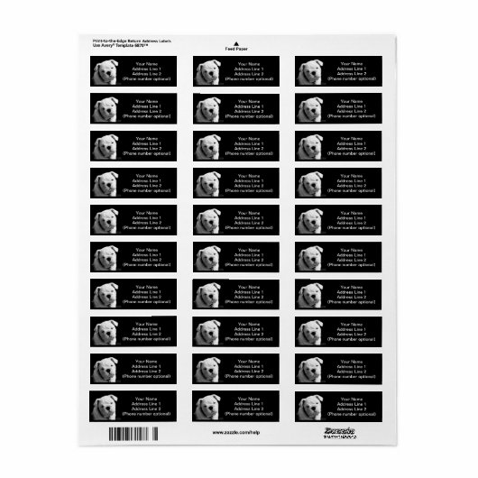 Bulldog Welpe (Vorne)