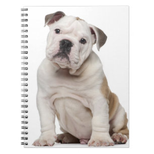 Bulldog Welpe (2 Monate alt) Notizblock