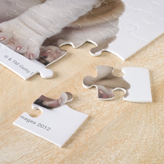 Bulldog Welpe (2 Monate alt) Puzzle (Seite)