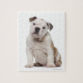 Bulldog Welpe (2 Monate alt) Puzzle (Vertikal)