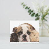 Bulldog Welpe (4 Monate alt) und zwei Guine Postkarte (Stehend Vorderseite)