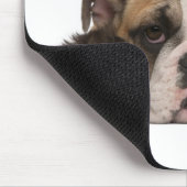 Bulldog Welpe (4 Monate alt) und zwei Mousepad (Ecke)