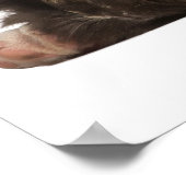 Bulldog Welpe (4 Monate alt) und zwei Poster (Ecke)