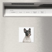 Bulldog Welpe (5 Monate alt) Magnet (In Situ (Geschirrspüler))