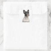 Bulldog Welpe (5 Monate alt) Quadratischer Aufkleber (Tasche)