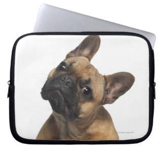 Bulldog Welpe (7 Monate alt) Laptopschutzhülle