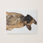 Bulldog Welpe (7 Monate alt) Puzzle (Horizontal)