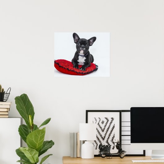 Bulldog Welpe auf Red Cushion Poster (Heimbüro)