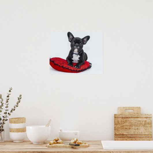 Bulldog Welpe auf Red Cushion Poster (Küche)