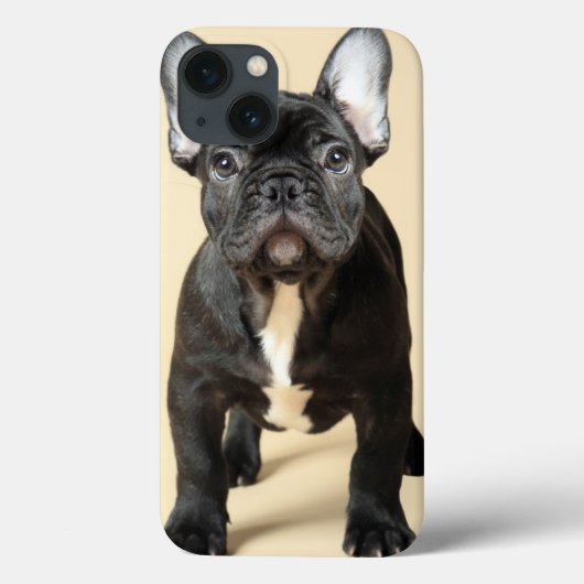 Bulldog Welpe Case-Mate iPhone Hülle (Rückseite)