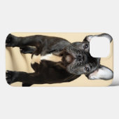 Bulldog Welpe Case-Mate iPhone Hülle (Rückseite (Horizontal))