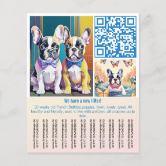 Bulldog Welpe Flyer