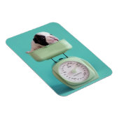 Bulldog Welpe Magnet (Rechte Seite)