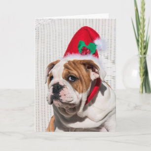 Bulldog Welpe mit Weihnachtshut Feiertagskarte