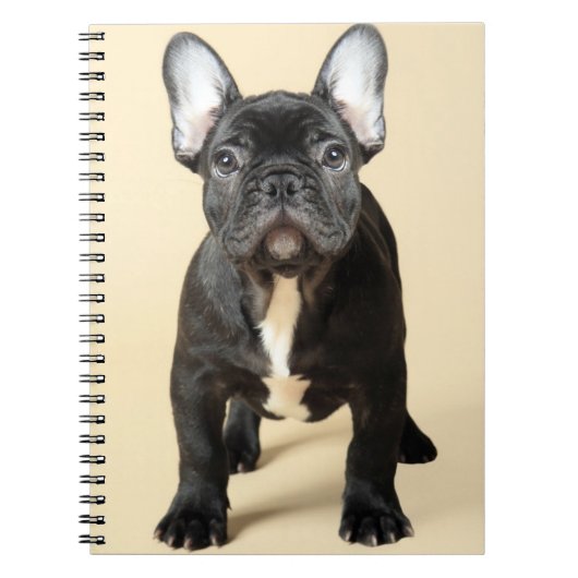 Bulldog Welpe Notizblock (Vorderseite)