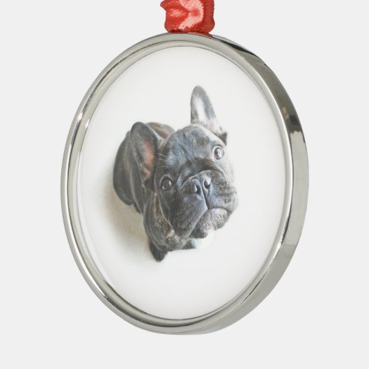 Bulldog Welpe Ornament Aus Metall (Links)