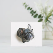 Bulldog Welpe Postkarte (Stehend Vorderseite)