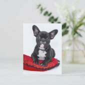 Bulldog-Welpe Postkarte (Stehend Vorderseite)