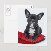 Bulldog-Welpe Postkarte (Vorne/Hinten)