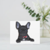 Bulldog Welpe Postkarte (Stehend Vorderseite)
