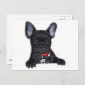 Bulldog Welpe Postkarte (Vorne/Hinten)