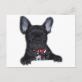 Bulldog Welpe Postkarte (Vorderseite)