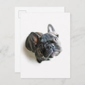 Bulldog Welpe Postkarte (Vorne/Hinten)