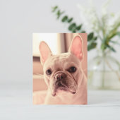 Bulldog Welpe Postkarte (Stehend Vorderseite)