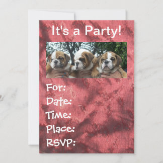 Bulldog Welpen Party Einladungen