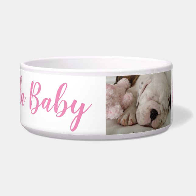 Bulldog Welpenschlafen Napf (Vorderseite)