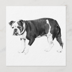 Bulldog Willkommen, Friedliche Stimmung Einladung