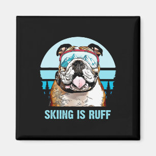Bulldog-Wintersport ist rauher Ski-Hundefreund Magnet