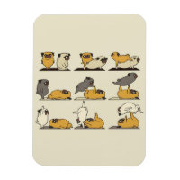 Bulldog-Yoga-Posen| Hunde Yoga Liebhaber