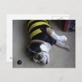 Bulldogbiene Postkarte (Vorne/Hinten)